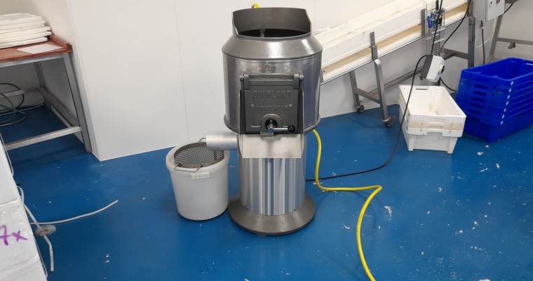 Schrapmachine voor snoekbaars 1 - Tolkamp snijkeukentechniek