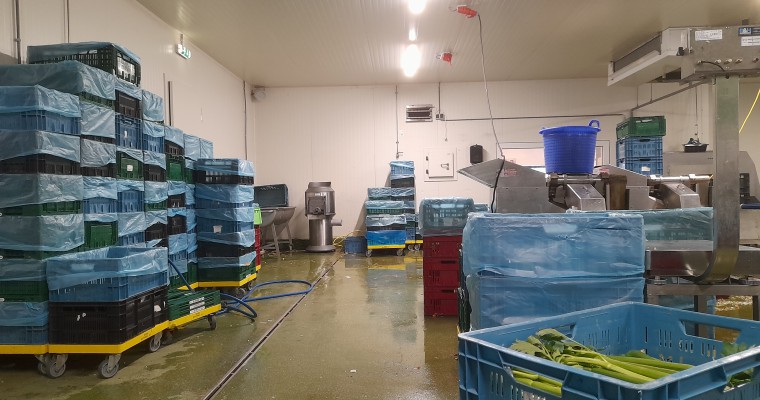 wortels schrapen 3 - Tolkamp snijkeukentechniek